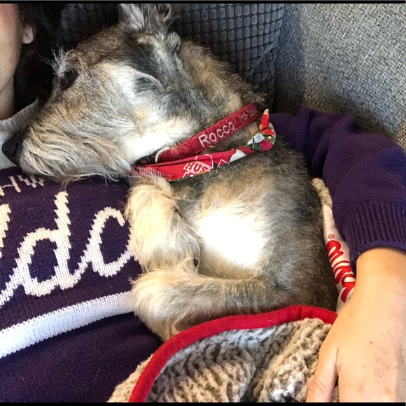 Meet your Posher, Cassandra - Picture 3 of 4